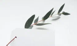 Featured image of post Image Gallery